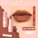 Pink Flash Silky Velvet Matte Lipstick L05 - BB01