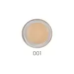 Menow Perfect Concealer Shade 01